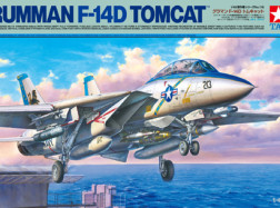 GRUMMAN F-14D TOMCAT